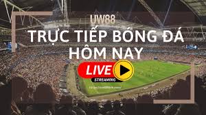 Trực tiếp bóng đá hôm nay. Trá»±c Tiáº¿p Uw88live Xem Trá»±c Tiáº¿p Bong Ä'a Hom Nay Uw88