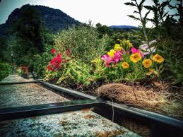 See more of friends of lake lure flowering bridge on facebook. Lake Lure Flowering Bridge 2021 All You Need To Know Before You Go With Photos Tripadvisor