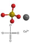 Image result for does home depot carry copper sulfate