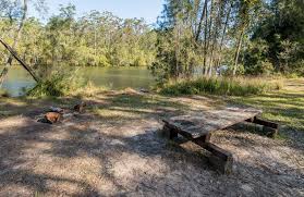 Ferny Creek Campground Local Alerts Nsw National Parks