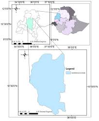 Image result for Eriosema scioanum