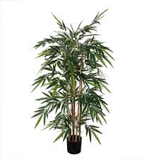 mica decorations bamboo groen in plastic pot maat in cm 150 x 75 in 2020 groen tuin net kunstplanten