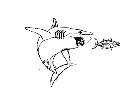 For boys and girls, kids and adults, teenagers and toddlers, preschoolers and older kids at school. A Great White Shark Chasing A Tuna Coloring Page Kids Play Color