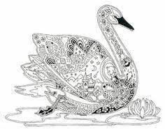 I love sue coccia's coloring books. Colour Yourself To Calmness Sue Coccia Album Uzivatelky Radostpromaminku Foto 11 Modrykon Bird Coloring Pages Animal Coloring Pages Cool Coloring Pages