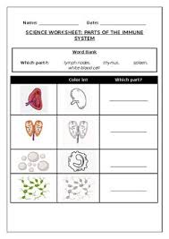 See more ideas about science worksheets, science, science lessons. Primary Science Worksheet Rocky Planets In Our Solar System Made By Teachers