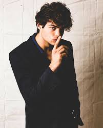 Pin By Hatwat On Noah Centineo Noah Actors Celebrities