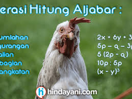 Sekarang, apabila kalian sudah paham mengenai konsep penjumlahan dan pengurangan bentuk aljabar, silahkan kalian pelajari kumpulan contoh soal bentuk aljabar dan pembahasannya berikut ini. Contoh Soal Operasi Aljabar Jumlah Kurang Kali Bagi Pangkat