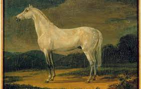 C trip trip map trip youn nan tweet mw yo pa gen rapò ak vie pèsonèl mw. Le Cheval De Napoleon Restaure