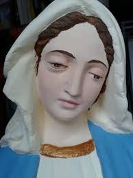 La Madonnina delle Rose, il Campetto Polivalente e l'avv. Vito Ventrella