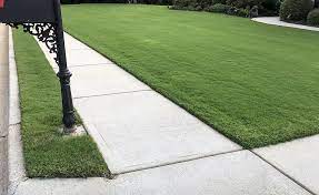Bermuda Grass Calendar Bermuda Grass Bermuda Grass Care Grass Care