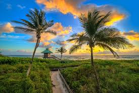 Stay at honu cove from $117/night, boca plaza from $80/night, 925 ocean boutique hotel from $106/night and more. City Of Boca Raton Linkedin