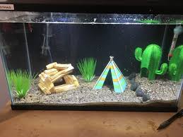 Drinking cactus water on an empty stomach will give you diarrhea or make you vomit. Top Fin Cactus Aquarium Ornament Fish Ornaments Petsmart