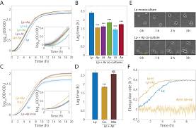 2016 chinese movies » david loman 2. Bacterial Interspecies Interactions Modulate Ph Mediated Antibiotic Tolerance Elife