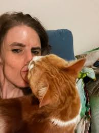 Here's how to make your cat's life INSTANTLY BETTER! #Cats #CatLovers