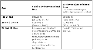 Salaire contrat de professionnalisation 2019. Guide De L Alternance A Destination Des Futurs Alternants Visiplus Academy