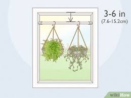 Check spelling or type a new query. Easy Ways To Hang Plants Without Holes 8 Steps With Pictures