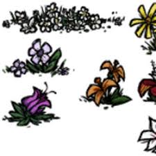 Flowers and ferns in their haunts. Flower Don T Starve Wiki Fandom