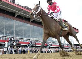 The 2021 preakness stakes gets underway this evening, putting the second jewel of the horse racing triple crown up for grabs. Dbaamidmsxqjcm