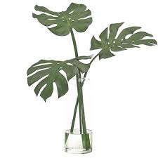 You can choose to purchase 1 or a set of 3. Monstera Arrangement Cf Interiors