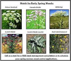 Custer county, idaho is the 39th largest county in idaho. Noxious Weeds Ada County Mdash Nextdoor Nextdoor