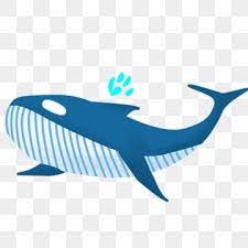 Beautiful Whale Blue Whale Cartoon Whale Hand Drawn Whale Whale Clipart Marine Life Whale Illustration Png Transparent Clipart Image And Psd File For Free Do Cartoon Whale Whale Illustration Blue Whale