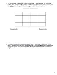 Use the gametes from #3 and #4 to set up a punnett square below. Genetics Dihybrid Punnett Square Practice Packet By Spyglass Biology