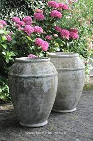The usefulness of potted foliage and flowering plants in the commercial ornamental industry, as well as propagation techniques are also discussed. Modern Garden Design Garden Containers Garden Urns Garden Pots