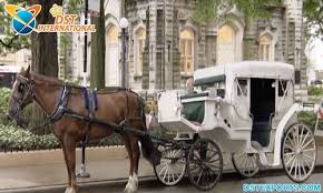 Royal Victoria Horse Carriage Antique ...