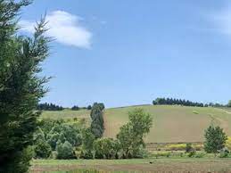 أرض زراعية في منطقة تشاتالجا في اسطنبول بورتوكوزا العقارية Country Roads Property Country
