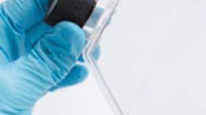 Reviews this ebook will be worth acquiring. Optimizing Cell Culture Media