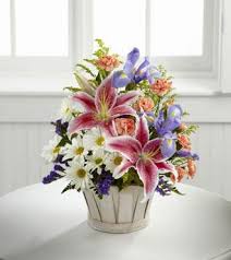 Frank Marticelli Obituary (2017)