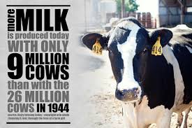 More Milk Is Produced With Only 9 Million Cows Agriculture Agproud Animal Science Livestock Animals Friends