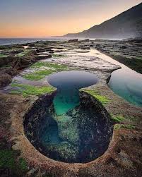Unique Pool Formation In Royal National Park New South Wales Australia National Parks Places To Go Nature