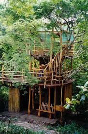 Cabanes De Jardin Exterieur En Bois Dans Les Arbres Tree House Plans Cool Tree Houses Tree House