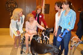 March 31, 2021 0 purnaman rai biography lifestyle news relationship. Florida Memory Vicky Gaetz Wife Of Senate President Don Gaetz Supporting State Senators For Legislation Against Greyhound Racing