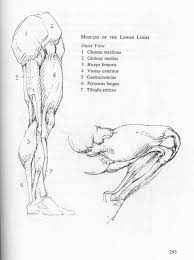 Pin On Art Instruction