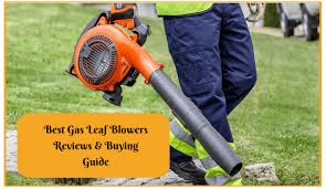 1) take out your spark plugs and dry them with a cloth. The 7 Best Gas Leaf Blowers To Buy Online In 2021 Reviews Buying Guide