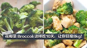 史上最强减肥法 花椰菜broccoli 这样吃10天 让你狂瘦8kg 花椰菜瘦身营养食谱 leesharing broccoli eat food