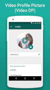 This only works if the whatsapp profile picture is not private. Video Profile Picture For Whatsapp Prank Video Dp For Android Apk Download