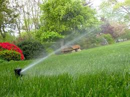 Maybe you would like to learn more about one of these? Sprinklers