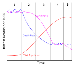 Demographic Transition
