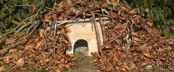 Igelhaus Zum Uberwintern Bauen Anleitung Richtiggut De Igelhaus Igel Igelhaus Selber Bauen