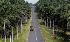 In malaysia, plantation industry is an integral part of the country's economic transformation program. Palm Oil Politics Threaten Eu Malaysia Ties East Asia Forum