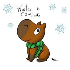 We did not find results for: 8 Ideas De Carpincho Dibujos De Animales Dibujos Animales