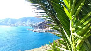 Save big on a wide range of madeira beach hotels! Papel De Parede Panorama Montanhas Mar Cidade Baia Grama De Praia Costa Palmeiras Ilha Caribe Madeira Portugal Arvore Tropicos Sao Escalas Familia De Palmeiras 4208x2368 Sergiucoj 87695 Papel