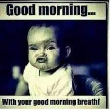 Funny Good Morning Memes Start Your Day With A Smile Morning Quotes Funny Funny Good Morning Quotes Funny Good Morning Images