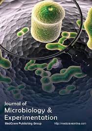 Detection Of Potential Sexually Transmitted Bacterial Pathogens By Molecular Methods By Asem A Shehabi Microbiology Cairo University Biochemical