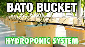 How to Set Up a Bato Bucket Hydroponic System - YouTube