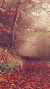 Start your search now and free your phone. 40 Free Amazing Fall Wallpaper Backgrounds For Iphone