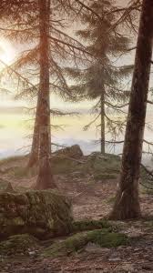 Benoît sokal, belgian comedian e book artist and creator of the journey recreation collection syberia, has died on the age of 66. Wallpaper Syberia 3 Benoit Sokal Best Games Ios Pc Nintendo Switch Os X Ps 4 Xbox One Games 13189